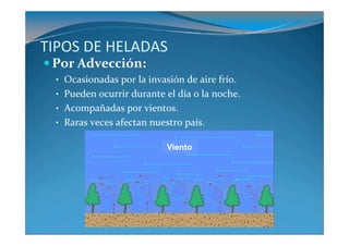 TIPOS DE HELADAS
 Por Advección:
 • Ocasionadas por la invasión de aire frío.
 • Pueden ocurrir durante el día o la noche.
 • Acompañadas por vientos.
 • Raras veces afectan nuestro país.

                           Viento
 