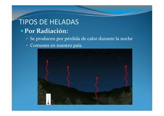 TIPOS DE HELADAS
 Por Radiación:
 • Se producen por pérdida de calor durante la noche
 • Comunes en nuestro país.
 