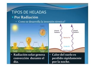TIPOS DE HELADAS
  Por Radiación
   • Como se desarrolla la inversión térmica?




• Radiación solar genera       • Calor del suelo es
 convección durante el           perdido rápidamente
 día.                            por la noche.
 