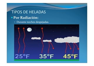 TIPOS DE HELADAS
Por Radiación:
 • Durante noches despejadas.
 