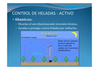 CONTROL DE HELADAS - ACTIVO
 Abanicos:
 • Mezclan el aire disminuyendo inversión térmica.
 • Ayudan a proteger contra heladas por radiación.
 