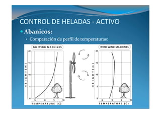 CONTROL DE HELADAS - ACTIVO
 Abanicos:
 • Comparación de perfil de temperaturas:
 