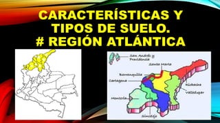 CARACTERÍSTICAS Y
TIPOS DE SUELO.
# REGIÓN ATLÁNTICA
 