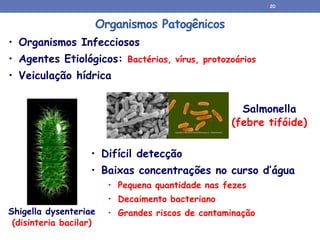Organismos Patogênicos
• Organismos Infecciosos
• Agentes Etiológicos: Bactérias, vírus, protozoários
• Veiculação hídrica
Shigella dysenteriae
(disinteria bacilar)
Salmonella
(febre tifóide)
• Difícil detecção
• Baixas concentrações no curso d’água
• Pequena quantidade nas fezes
• Decaimento bacteriano
• Grandes riscos de contaminação
20
 