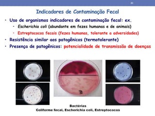 Indicadores de Contaminação Fecal
• Uso de organismos indicadores de contaminação fecal: ex.
• Escherichia coli (abundante em fezes humanas e de animais)
• Estreptococos fecais (fezes humanas, tolerante a adversidades)
• Resistência similar aos patogênicos (termotolerante)
• Presença de patogênicos: potencialidade de transmissão de doenças
21
 