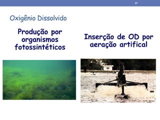 Oxigênio Dissolvido
Produção por
organismos
fotossintéticos
Inserção de OD por
aeração artifical
27
 