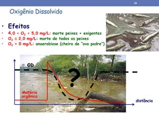 Oxigênio Dissolvido
• Efeitos
• 4,0 < O2 < 5,0 mg/L: morte peixes + exigentes
• O2  2,0 mg/L: morte de todos os peixes
• O2 = 0 mg/L: anaerobiose (cheiro de “ovo podre”)
distância
OD
Matéria
orgânica
?
28
 