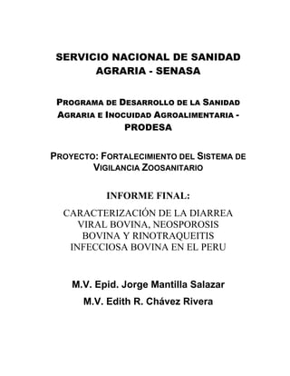 SERVICIO NACIONAL DE SANIDAD
AGRARIA - SENASA
PROGRAMA DE DESARROLLO DE LA SANIDAD
AGRARIA E INOCUIDAD AGROALIMENTARIA -
PRODESA
PROYECTO: FORTALECIMIENTO DEL SISTEMA DE
VIGILANCIA ZOOSANITARIO
INFORME FINAL:
CARACTERIZACIÓN DE LA DIARREA
VIRAL BOVINA, NEOSPOROSIS
BOVINA Y RINOTRAQUEITIS
INFECCIOSA BOVINA EN EL PERU
M.V. Epid. Jorge Mantilla Salazar
M.V. Edith R. Chávez Rivera
 