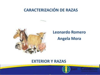 CARACTERIZACIÓN DE RAZAS
Leonardo Romero
Angela Mora
EXTERIOR Y RAZAS
 