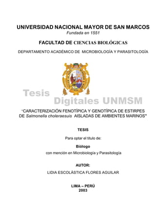UNIVERSIDAD NACIONAL MAYOR DE SAN MARCOS
Fundada en 1551
FACULTAD DE CIENCIAS BIOLÓGICAS
DEPARTAMENTO ACADÉMICO DE MICROBIOLOGÍA Y PARASITOLOGÍA
“CARACTERIZACIÓN FENOTÍPICA Y GENOTÍPICA DE ESTIRPES
DE Salmonella choleraesuis AISLADAS DE AMBIENTES MARINOS”
TESIS
Para optar el titulo de:
Biólogo
con mención en Microbiología y Parasitología
AUTOR:
LIDIA ESCOLÁSTICA FLORES AGUILAR
LIMA – PERÚ
2003
 