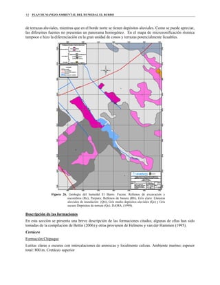 PLAN DE MANEJO AMBIENTAL DEL HUMEDAL EL BURRO32
de terrazas aluviales, mientras que en el borde norte se tienen depósitos aluviales. Como se puede apreciar,
las diferentes fuentes no presentan un panorama homogéneo. En el mapa de microzonificación sísmica
tampoco e hizo la diferenciación en la gran unidad de conos y terrazas potencialmente licuables.
Figura 26. Geología del humedal El Burro. Fucsia: Rellenos de excavación y
escombros (Re), Purpura: Rellenos de basura (Rb), Gris claro: Llanuras
aluviales de inundación (Qri), Gris medio depósitos aluviales (Qc) y Gris
oscuro Depósitos de terraza (Qc). DAMA, (1999).
Descripción de las formaciones
En esta sección se presenta una breve descripción de las formaciones citadas; algunas de ellas han sido
tomadas de la compilación de Bettin (2006) y otras provienen de Helmens y van der Hammen (1995).
Cretáceo
Formación Chipaque
Lutitas claras a oscuras con intercalaciones de areniscas y localmente calizas. Ambiente marino; espesor
total: 800 m. Cretáceo superior
 