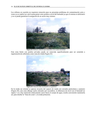 PLAN DE MANEJO AMBIENTAL DEL HUMEDAL EL BURRO54
Los rellenos en cuestión no requieren remoción pues no presentan problemas de contaminación seria y
como ya se explicó no vale la pena poner estos predios a nivel del humedal ya que el sistema es deficitario
y no se puede garantizar la anegación de un sector muy extenso.
Figura 42. Rellenos cubiertos por matorrales en la ronda nororiental
Esta zona límite con predios privados puede ser removida superficialmente para ser sometida a
regeneración de coberturas como zona de ronda (Figura 43)
Figura 43. Zona de ronda nororiental a revegetalizar
En la ronda sur oriental se aprecia invasión del espacio de ronda con cercados particulares y pastoreo
(Figura 44), esta zona alberga suelos alterados por escombros, la diferencia de nivel con el humedal no
supera 1 m y hay transición relativamente suave hacia el cuerpo de agua; resulta conveniente mantenerla
así, para diseñar la “línea de costa” y la ronda protectora.
 