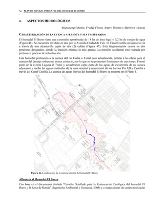 PLAN DE MANEJO AMBIENTAL DEL HUMEDAL EL BURRO56
4. ASPECTOS HIDROLÓGICOS
Miguelángel Bettin, Freddy Florez, Arturo Benítez y Marlown Alcaraz
CARACTERIZACIÓN DE LA CUENCA AFERENTE Y SUS TRIBUTARIOS
El humedal El Burro tiene una extensión aproximada de 18 ha de área legal y 0,2 ha de espejo de agua
(Figura 46). Se encuentra dividido en dos por la Avenida Ciudad de Cali. El Canal Castilla atraviesa la vía
a través de una alcantarilla cajón de dos (2) celdas (Figura 47). Está fragmentación ocurre en dos
porciones desiguales, siendo la fracción oriental la más grande. La porción occidental está rodeada por
predios en proceso de urbanización.
Este humedal perteneció a la cuenca del río Fucha o Tintal pero actualmente, debido a las obras para el
manejo del drenaje urbano no tienen contacto, por lo que no se presentan fenómenos de crecientes. Formó
parte de la extinta Laguna el Tintal y actualmente capta parte de las aguas de escorrentía de su cuenca
adyacente y recibe las aguas residuales de la zona oriental y nororiental de los barrios Pío XII y Castilla a
través del Canal Castilla. La cuenca de aguas lluvias del humedal El Burro se muestra en el Plano 1.
Figura 46. Localización de la cuenca aferente del humedal El Burro
Afluentes al Humedal El Burro
Con base en el documento titulado “Estudio Detallado para la Restauración Ecológica del humedal El
Burro y la Zona de Ronda” (Ingeniería Ambiental y Geodesia, 2004) y a inspecciones de campo realizadas
 
