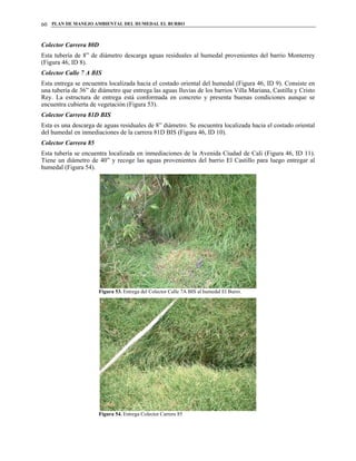 PLAN DE MANEJO AMBIENTAL DEL HUMEDAL EL BURRO60
Colector Carrera 80D
Esta tubería de 8” de diámetro descarga aguas residuales al humedal provenientes del barrio Monterrey
(Figura 46, ID 8).
Colector Calle 7 A BIS
Esta entrega se encuentra localizada hacia el costado oriental del humedal (Figura 46, ID 9). Consiste en
una tubería de 36” de diámetro que entrega las aguas lluvias de los barrios Villa Mariana, Castilla y Cristo
Rey. La estructura de entrega está conformada en concreto y presenta buenas condiciones aunque se
encuentra cubierta de vegetación (Figura 53).
Colector Carrera 81D BIS
Esta es una descarga de aguas residuales de 8” diámetro. Se encuentra localizada hacia el costado oriental
del humedal en inmediaciones de la carrera 81D BIS (Figura 46, ID 10).
Colector Carrera 85
Esta tubería se encuentra localizada en inmediaciones de la Avenida Ciudad de Cali (Figura 46, ID 11).
Tiene un diámetro de 40” y recoge las aguas provenientes del barrio El Castillo para luego entregar al
humedal (Figura 54).
Figura 53. Entrega del Colector Calle 7A BIS al humedal El Burro.
Figura 54. Entrega Colector Carrera 85
 
