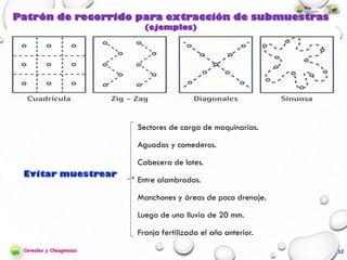 12
Patrón de recorrido para extracción de submuestras
(ejemplos)
Sectores de carga de maquinarias.
Aguadas y comederos.
Cabecera de lotes.
Entre alambrados.
Manchones y áreas de poco drenaje.
Luego de una lluvia de 20 mm.
Franja fertilizada el año anterior.
º
Cereales y Oleaginosas
 