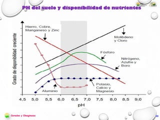 PH del suelo y disponibilidad de nutrientes
20Cereales y Oleaginosas
 