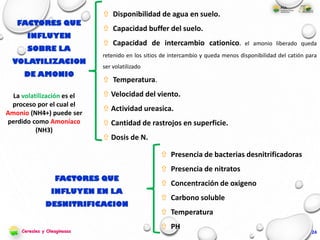 24
FACTORES QUE
INFLUYEN
SOBRE LA
VOLATILIZACION
DE AMONIO
 Disponibilidad de agua en suelo.
 Capacidad buffer del suelo.
 Capacidad de intercambio cationico. el amonio liberado queda
retenido en los sitios de intercambio y queda menos disponibilidad del catión para
ser volatilizado
 Temperatura.
 Velocidad del viento.
 Actividad ureasica.
 Cantidad de rastrojos en superficie.
 Dosis de N.
La volatilización es el
proceso por el cual el
Amonio (NH4+) puede ser
perdido como Amoníaco
(NH3)
FACTORES QUE
INFLUYEN EN LA
DESNITRIFICACION
 Presencia de bacterias desnitrificadoras
 Presencia de nitratos
 Concentración de oxigeno
 Carbono soluble
 Temperatura
 PHCereales y Oleaginosas
 