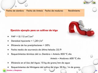  PMP = 0.115 cm3/cm3
 Densidad Aparente = 1,20 t/m3
 Eficiencia de las precipitaciones = 50%
 Fecha media de ocurrencia de última helada: 25/9
 Requerimientos térmicos del cv: Siembra – Antesis: 850 ºC día
Antesis – Madurez: 600 ºC día
 Eficiencia en el Uso del Agua: 10 kg de grano/mm de agua
 Requerimientos de Nitrógeno del cultivo de trigo: 30 Kg / tn de grano.
Ejercicio ejemplo para un cultivar de trigo
Fecha de siembra Fecha de Antesis Fecha de madurez Rendimiento
Cereales y Oleaginosas 26
 
