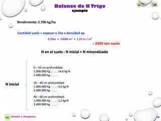Rendimiento: 2.700 kg/ha
Balance de N Trigo
ejemplo
0 – 20 cm profundidad:
1.000.000 Kg . . . . . 14,6 kg N
2.400.000 kg . . . . .
N en el suelo : N inicial + N mineralizado
0,20m X 10000 m2 X 1,20 tn / m3
= 2400 ton suelo
20 – 40 cm profundidad:
1.000.000 Kg . . . . . 4,5 kg N
2.400.000 kg . . . . .
40 – 60 cm profundidad:
1.000.000 Kg . . . . . 1,2 kg N
2.400.000 kg . . . . .
Cantidad suelo = espesor x 1ha x densidad ap
28
N inicial
Cereales y Oleaginosas
 