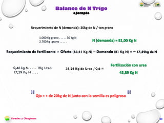 Requerimiento de fertilizante = Oferta (63,41 Kg N) – Demanda (81 Kg N) = – 17,59kg de N
0,46 kg N. . . . . 1Kg Urea
17,59 Kg N . . . .
38,24 Kg de Urea / 0,6 =
Requerimiento de N (demanda): 30kg de N / ton grano
1.000 Kg grano . . . . . 30 kg N
2.700 kg grano . . . . .
Balance de N Trigo
ejemplo
N (demanda) = 81,00 Kg N
Fertilización con urea
45,89 Kg N
Ojo = + de 20kg de N junto con la semilla es peligroso
Cereales y Oleaginosas 30
 