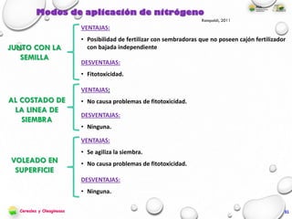Modos de aplicación de nitrógeno
JUNTO CON LA
SEMILLA
AL COSTADO DE
LA LINEA DE
SIEMBRA
VOLEADO EN
SUPERFICIE
VENTAJAS:
• Posibilidad de fertilizar con sembradoras que no poseen cajón fertilizador
con bajada independiente
DESVENTAJAS:
• Fitotoxicidad.
VENTAJAS:
• No causa problemas de fitotoxicidad.
DESVENTAJAS:
• Ninguna.
VENTAJAS:
• Se agiliza la siembra.
• No causa problemas de fitotoxicidad.
DESVENTAJAS:
• Ninguna.
Rampoldi, 2011
31Cereales y Oleaginosas
 