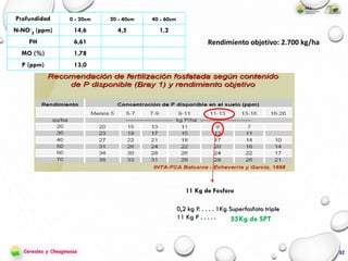 Rendimiento objetivo: 2.700 kg/ha
13,0P (ppm)
1,78MO (%)
6,61PH
1,24,514,6N-NO-
3 (ppm)
40 - 60cm20 - 40cm0 - 20cmProfundidad
11 Kg de Fosforo
0,2 kg P. . . . . 1Kg Superfosfato triple
11 Kg P . . . . . 55Kg de SPT
32Cereales y Oleaginosas
 