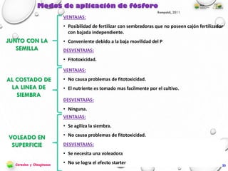 Modos de aplicación de fósforo
JUNTO CON LA
SEMILLA
AL COSTADO DE
LA LINEA DE
SIEMBRA
VOLEADO EN
SUPERFICIE
VENTAJAS:
• Posibilidad de fertilizar con sembradoras que no poseen cajón fertilizador
con bajada independiente.
• Conveniente debido a la baja movilidad del P
DESVENTAJAS:
• Fitotoxicidad.
VENTAJAS:
• No causa problemas de fitotoxicidad.
• El nutriente es tomado mas facilmente por el cultivo.
DESVENTAJAS:
• Ninguna.
VENTAJAS:
• Se agiliza la siembra.
• No causa problemas de fitotoxicidad.
DESVENTAJAS:
• Se necesita una voleadora
• No se logra el efecto starter
Rampoldi, 2011
33Cereales y Oleaginosas
 
