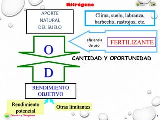 RENDIMIENTO
OBJETIVO
D
APORTE
NATURAL
DEL SUELO
O
Rendimiento
potencial
Otras limitantes
FERTILIZANTEeficiencia
de uso
CANTIDAD Y OPORTUNIDAD
Clima, suelo, labranza,
barbecho, rastrojos, etc.
4Cereales y Oleaginosas
 