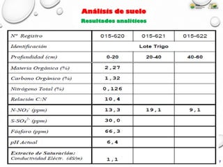 Cereales y Oleaginosas
Análisis de suelo
Resultados analíticos
7
 