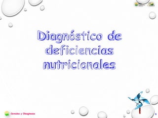 9Cereales y Oleaginosas
 