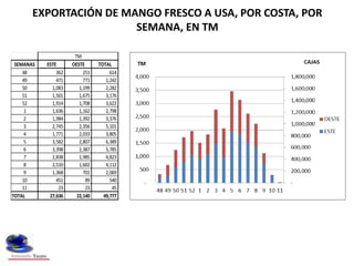 EXPORTACIÓN DE MANGO FRESCO A ESTADOS UNIDOS POR
EMPRESA EXPORTADORA, CAMPAÑA 2012 2013, EN TM
SUNSHINE EXPORT 5,525 11%
C...