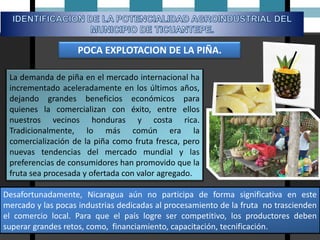 Caracterizacion y potencialidades del municipio de Ticuantepe | PDF