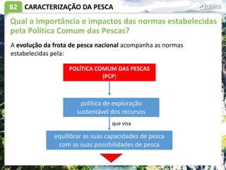 B2
Qual a importância e impactos das normas estabelecidas
pela Política Comum das Pescas?
CARACTERIZAÇÃO DA PESCA
A evolução da frota de pesca nacional acompanha as normas
estabelecidas pela:
política de exploração
sustentável dos recursos
POLÍTICA COMUM DAS PESCAS
(PCP)
equilibrar as suas capacidades de pesca
com as suas possibilidades de pesca
que visa
 