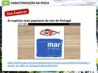 B2 CARACTERIZAÇÃO DA PESCA
https://webstorage.cienciaviva.pt/public/pt.cienciaviva.www/flipbooks/Catalogo_E
species_do_MAR_de_Portugal/mobile/index.html
As espécies mais populares do mar de Portugal
 