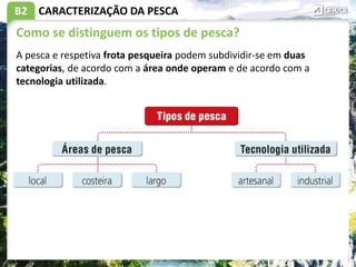 B2
Como se distinguem os tipos de pesca?
CARACTERIZAÇÃO DA PESCA
A pesca e respetiva frota pesqueira podem subdividir-se em duas
categorias, de acordo com a área onde operam e de acordo com a
tecnologia utilizada.
 