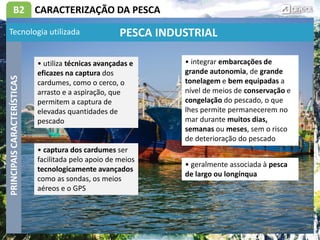 B2 CARACTERIZAÇÃO DA PESCA
• utiliza técnicas avançadas e
eficazes na captura dos
cardumes, como o cerco, o
arrasto e a aspiração, que
permitem a captura de
elevadas quantidades de
pescado
PRINCIPAIS
CARACTERÍSTICAS
PESCA INDUSTRIAL
• integrar embarcações de
grande autonomia, de grande
tonelagem e bem equipadas a
nível de meios de conservação e
congelação do pescado, o que
lhes permite permanecerem no
mar durante muitos dias,
semanas ou meses, sem o risco
de deterioração do pescado
• captura dos cardumes ser
facilitada pelo apoio de meios
tecnologicamente avançados
como as sondas, os meios
aéreos e o GPS
Tecnologia utilizada
• geralmente associada à pesca
de largo ou longínqua
 