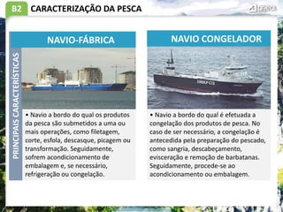 B2 CARACTERIZAÇÃO DA PESCA
• Navio a bordo do qual os produtos
da pesca são submetidos a uma ou
mais operações, como filetagem,
corte, esfola, descasque, picagem ou
transformação. Seguidamente,
sofrem acondicionamento de
embalagem e, se necessário,
refrigeração ou congelação.
PRINCIPAIS
CARACTERÍSTICAS
NAVIO-FÁBRICA NAVIO CONGELADOR
• Navio a bordo do qual é efetuada a
congelação dos produtos de pesca. No
caso de ser necessário, a congelação é
antecedida pela preparação do pescado,
como sangria, descabeçamento,
evisceração e remoção de barbatanas.
Seguidamente, procede-se ao
acondicionamento ou embalagem.
 