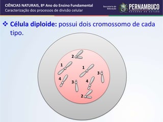 Caracterização dos processos de divisão Celular.ppt