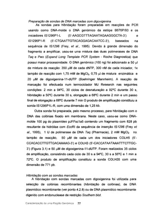 Preparação de sondas de DNA marcadas com digoxigenina
As sondas para hibridação foram preparadas em reacções de PCR
usando como DNA-molde o DNA genómico da estirpe 8676P/93 e os
iniciadores IS1296P1-L (5'-AAGCGTTTAGAATAGAAGGGCTA-3') e
IS1296P1-R (5'-CTGAATTGTACAGGAGACAATCC-3'), baseados na
sequência de IS1296 (Frey, et aI., 1995). Devido à grande dimensão do
fragmento a amplificar, usou-se uma mistura das duas polimerases de DNA
Taq e Pwo (Expand Long Templafe PGR Sysfem - Roche Diagnostica) que
possui maior processividade. O DNA genómico (100 ng) foi adicionado a 50 /-lI
de mistura de reacção: 350 /-lM de cada dNTP, 300 nM de cada iniciador, 1x
tampão de reacção com 1,75 mM de MgCI2, 0,75 /-lI de mistura enzimática e
20 /-lM de digoxigenina-11-dUTP (Boehrinqer Mannheim). A reacção de
marcação foi efectuada num termociclador MJ Research nas seguintes
condições: 2 min a 94°C, 30 ciclos de desnaturação a 92°C durante 30 s,
hibridação a 50°C durante 30 s, elongação a 68°C durante 2 min e um passo
final de elongação a 68°C durante 7 min O produto de amplificação constituiu a
sonda IS1296P1L-R, com uma dimensão de 1,25 kb.
Outra sonda foi preparada, pelo mesmo processo, para hibridação com o
DNA das colónias fixado em membrana. Neste caso, usou-se como DNA-
molde 100 pg do plasmídeo pJFFsc1a5 contendo um fragmento com 828 pb
resultante da hidrólise com EcoRI da sequência de inserção IS1296 (Frey et
aI., 1995), 1 U de polimerase de DNA Taq (Pharmacia), 2 mM MgCI2 no
tampão de reacção, 50 /-lM de cada um dos iniciadores COLH5 (5'-
CCACACCTTGTTGACAAAAG-3') e COLH3 (5'-CACCATAATAAATTTCTTGC-
3') (Figura 3.1) e 50 /-lM de digoxigenina-11-dUTP. Foram realizados 35 ciclos
de amplificação, consistindo cada ciclo de 30 s a 94°C, 30 s a 56°C e 1 min a
72°C. O produto de amplificação constituiu a sonda COLH35 com uma
dimensão de 771 pb.
Hibridação com as sondas marcadas
A hibridação com sondas marcadas com digoxigenina foi utilizada para
selecção de colónias recombinantes (hibridação de colónias), de DNA
plasmídico recombinante (ver ponto 4.2.8) ou de DNA plasmídico recombinante
digerido com endonuclease de restrição Soufhem blot.
Caracterização ele Lima Região Genórnica 77
 