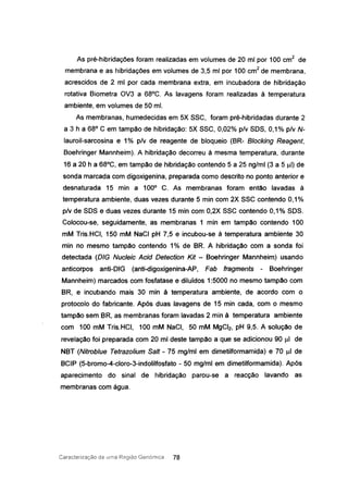As pré-hibridações foram realizadas em volumes de 20 mi por 100 cm2
de
membrana e as hibridações em volumes de 3,5 mI por 100 cm2
de membrana,
acrescidos de 2 mi por cada membrana extra, em incubadora de hibridação
rotativa Biometra OV3 a 68°C. As lavagens foram realizadas à temperatura
ambiente, em volumes de 50 mI.
As membranas, humedecidas em 5X SSC, foram pré-hibridadas durante 2
a 3 h a 68° C em tampão de hibridação: 5X SSC, 0,02% p/v SOS, 0,1% p/v N-
lauroil-sarcosina e 1% p/v de reagente de bloqueio (BR- Blocking Reagent,
Boehringer Mannheim). A hibridação decorreu à mesma temperatura, durante
16 a 20 h a 68°C, em tampão de hibridação contendo 5 a 25 ng/ml (3 a 5 ul) de
sonda marcada com digoxigenina, preparada como descrito no ponto anterior e
desnaturada 15 min a 100° C. As membranas foram então lavadas à
temperatura ambiente, duas vezes durante 5 min com 2X SSC contendo 0,1%
p/v de SOS e duas vezes durante 15 min com 0,2X SSC contendo 0,1% SOS.
Colocou-se, seguidamente, as membranas 1 min em tampão contendo 100
mM Tris.HCI, 150 mM NaCI pH 7,5 e incubou-se à temperatura ambiente 30
min no mesmo tampão contendo 1% de BR. A hibridação com a sonda foi
detectada (DIG Nucleic Acid Detection Kit - Boehringer Mannheim) usando
anticorpos anti-OlG (anti-digoxigenina-AP, Fab fragments - Boehringer
Mannheim) marcados com fosfatase e diluídos 1:5000 no mesmo tampão com
BR, e incubando mais 30 min à temperatura ambiente, de acordo com o
protocolo do fabricante. Após duas lavagens de 15 min cada, com o mesmo
tampão sem BR, as membranas foram lavadas 2 min à temperatura ambiente
com 100 mM Tris.HCI, 100 mM NaCI, 50 mM MgCI2, pH 9,5. A solução de
revelação foi preparada com 20 mi deste tampão a que se adicionou 90 !lI de
NBT (Nitroblue Tetrazolium 5alt - 75 mg/ml em dimetilformamida) e 70 ul de
BCIP (5-bromo-4-c1oro-3-indolilfosfato - 50 mg/ml em dimetilformamida). Após
aparecimento do sinal de hibridação parou-se a reacção lavando as
membranas com água.
Caracterização de Lima Região Genómica 78
 