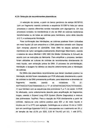 4.2.8- Selecção de recombinantes plasmídicos
A selecção de clones, a partir do banco genómico da estirpe B676P/93,
com um fragmento inserido contendo a sequência IS1296 foi feita por vários
processos e usando diferentes sondas marcadas com digoxigenina. Um dos
processos consistiu na transferência in situ de DNA de colónias bacterianas
transformadas ou de todas as colónias para membrana, como atrás descrito
(4.2.7), e subsequente hibridação.
Para confirmação das hibridações, as colónias positivas foram cultivadas
em meio líquido LB com ampicilina e o DNA plasmídico extraído com Qiaprep
Spin miniprep plasmid kit (QIAGEN). Este DNA foi depois aplicado em
membrana de nylon carregada positivamente (Boehringer Mannheim), usando
o sistema de Vácuo Minifold I SRC 96D Dot Blotter (Schleicher & Schuell) de
acordo com as instruções do fabricante. Para simplificar o processo, também
foram utilizadas as culturas de colónias de recombinantes directamente do
meio líquido, sem extracção prévia de DNA. O processo de pré-hibridação,
hibridação e lavagem foi idêntico ao descrito anteriormente para a hibridação
de colónias.
Os DNAs dos plasmídeos recombinantes que deram resultado positivo na
hibridação dot-blot foram reavaliados por PCR efectuado directamente a partir
de colónias ou de DNA previamente purificado, para determinar a dimensão do
fragmento inserido, usando os iniciadores T3 (5'-
AATIAACCCTCACTAAAGGG-3') e T7 (5'-GTAATACGACTCACTATAGGGC-
3') que hibridam com as sequências dos promotores T3 e T7 do vector. O PCR
foi efectuado, como anteriormente descrito para amplificação de fragmentos
longos, usando o Expand Long PGR System (Roche Diagnostics) e mistura
das polimerases Taq/Pwo. Para a reacção de PCR directamente a partir de
colónias, repicou-se uma colónia positiva para 500 ul de meio líquido e
incubou-se 4 h a 37°C com agitação. Centrifugou-se a cultura 15 min a 13200
rpm em centrífuga Eppendorf 5415 D, ressuspendeu-se o sedimento em 50 ~t1
de tampão de lise (0,5% plv SDS, 0,05 M Tris.HCI pH 8,0, 1 mM DTT),
Caractenzacáo de Lima Região Genómica 79
 