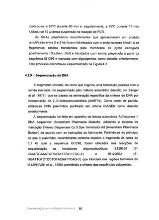 colocou-se a 67°C durante 60 min e, seguidamente, a 95°C durante 15 mino
Utilizou-se 10 J-l1 desta suspensão na reacção de PCR.
Os DNAs plasmidicos recombinantes que apresentaram um produto
amplificado entre 5 e 6 kb foram hidrolisados com a endonuclease HindJll e os
fragmentos obtidos transferidos para membrana de nylon carregada
positivamente (Southem blot) e hibridados com sonda, preparada a partir da
sequência 151296 e marcada com digoxigenina, como descrito anteriormente.
Este processo encontra-se esquematizado na Figura 4.3.
4.2.9 - Sequenciação de DNA
O fragmento clonado, do clone que originou uma hibridação positiva com a
sonda marcada, foi sequenciado pelo método enzimático descrito por 5anger
et ai. (1977), que se baseia na terminação específica da síntese do DNA por
incorporação de 2',3'-didesoxinucle6tidos (ddNTPs). Como ponto de partida,
utilizou-se DNA plasmídico purificado em coluna QIAGEN como descrito
anteriormente.
A sequenciação foi feita em aparelho de leitura automática ALFexpress II
DNA 5equencer (Amersham Pharmacia Biotech), utilizando o sistema de
marcação Thermo Sequenase Cy 5 Dye Terminator Kit (Amersham Pharmacia
Biotech) de acordo com as instruções do fabricante. Partindo-se do princípio
de que o plasmídeo recombinante continha inserido o fragmento de cerca de
6,1 kb com a sequência 151296, foram utilizados nas reacções de
sequenciação os iniciadores oligonucleotídicos 15129651 (5'-
CAACTGAAATATCATATTTATTTGC-3') e 15129652 (5'-
GGAnGTCTCCTGTACAAnCAG-3') que hibridam nas regiões terminais do
151296 (Vilei et ai., 1999), permitindo a síntese das sequências adjacentes.
Caractenzaçáo de uma Região GellóIlllc3 ao
 