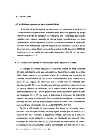 4.3 - RESULTADOS
4.3.1 - Biblioteca genómica da estirpe B676P/93
A excisão de gel de agarose de fragmentos com dimensões entre 4,4 e 6,6
kb resultantes da digestão com a endonuclease HindJII do genoma da estirpe
B676P/93, seguida de clonagem no vector pBS SK(-) linearizado com HindJll,
resultou num número reduzido de clones totais recombinantes, os quais
apresentaram todos fragmentos clonados com dimensão inferior à pretendida.
Por isso, esta metodologia foi posta de parte e, em alternativa, construiu-se um
banco de clones plasmídicos contendo fragmentos HindJII da estirpe B676P/93
inseridos no local HindJII do plasmídeo linearizado pBS SK (-), tal como
descrito no ponto 4.2.2.
4.3.2 - Selecção de clones recombinantes com a sequência 151296
A selecção de clones possuindo a sequência IS1296 foi feita utilizando
diversas abordagens, visto que a clonagem do fragmento desejado se revelou
difícil. Assim, começou por se fazer a selecção preliminar por repicagem de
colónias recombinantes de cor branca simultaneamente para membrana e
placa de LB, seguida de hibridação com a sonda COLH35 marcada com
digoxigenina (4.2.7), ou por transferência de todas as colónias para membrana
por réplica, seguida de hibridação com a mesma sonda. Por este processo,
foram seleccionados 571 clones positivos que foram reavaliados por PCR com
os iniciadores T3 e TI, de modo a determinar a dimensão do fragmento
inserido. Seguiu-se a confirmação final por restrição dos clones, com inserção
de cerca de 6 kb, com as endonucleases HindJII ou Pstl e Xhol, transferência
para membrana e hibridação com a sonda IS1296P1L-R (4.2.7).
Devido à dificuldade de interpretação dos sinais de hibridação sobre
colónias, uma vez que se seleccionaram alguns clones que se verificou por
Southem-b/ot não conterem a sequência IS1296, aumentou-se o grau de
selectividade inicial utilizando o método de hibridação por dot-b/of. Esta
hibridação foi feita com DNA ou 200111 de cultura em meio líquido de clones
que pareciam ter dado resultado positivo na hibridação com colónias. Com esta
Caracterizaçào de lima Região Genómica 84
 