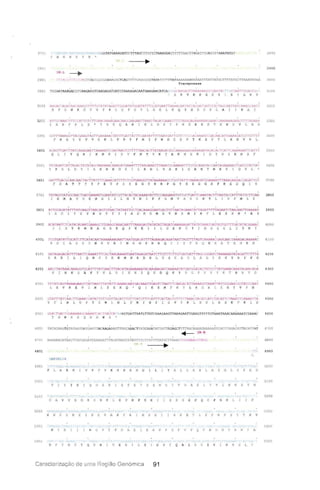270. ",.- -' ~ _r" TATGAAJGATCCTTTAGC TTGTTCTAAi'.GG.~TTTTT TAACTTA(",ATT I GITAAATATAT
F N J N K T K
I R - L
2800
290 0
'1.90 1 ~r-r A ui r. ( ....C7 TAG1 C GC GAA.P.ACAC TCAGT T .T CAGCGG CTATAT T 7TTTAT;·.1·'lAA!'tluTATMtT TArtA'tGc"T11'A1'GCTTAA~TATAA 300 0
Transposase
3001 TATiATAAA~ÇGTGAAGAAG TCAAGAjATGAT GTAAAAGACAAT GAAGMCATCA . , .,çc.'VL;.>.Grriv...."'.AG<;CGA.~T!lC 7 : ,TCAATTGC"GTGC 3100
A R V K K G E Y l 5 I G V P
31 01 AAI'";Ar..::: -:~,., Tfl.AC.Ja3Ar.r, tí r7 : ~ 7/7A.r ~ 7TG<.il .n r A!G{~'rATTTr;:.< T GA.~7~;V·~A;C.A~T<; :FC -;ArGA7~CG<..lll..:r_oATTA.TU:,-",.t~.'.II:;v..:"i 3' ('1 0
R P D N K G r v Y R L G Y G L H E L K Q r " D n P L A I I K A I
320 1 ~ rT l;.LAAAl- rrr( O TTG1'Cl1':iJo: , .:'AAAGAAC;·.AS' :;";"li;"';'. 'T.;;:'. "'T r .~.,A. -..P,.iJ·.A T-T';l .v-, _-.;v.;;v._"AAAüPJAC ~..AAGA.':: r1·!"1" jA_:A..·~.), 3 30 0
A N r P L ~ K o A R I K L D E I F K E K K E T K K E V L E R
330 1 C~T7AAAGGIT~ÇC~L.AGTrGA}jVACrATTTGA77A7 :T~~TAT7TTTA~T~~TTGT7r ~ ~cCACAAAATcr~(~C~TT~~~~~~G 7r ~T-T7 340
F K G r • v V E K L F D Y F N I F N D ç S T K S T T L K D V V L
34 01 ACAGTT(".ATTTA.TCAAAG.lA T TMA.:'.ATCí""JA7,~:I..r'1' -;'i'TTTTAACAcr;A ;:AA.GACj'Jr.ir:.AAJtAilo.AA'...A,.AAAAAi /4GA ' TI"": TTr .~.P.f1_b"TTI :.AT"r J500
Q L I Y Q R I K N P r s v r N T Y K T A K K ~ K I V T H 5 K N r
3501 ',~ ~AGA TCATTAGACTA~A ÕNYAAI-.AAArJlA.'!iAõGMATTTTAAr.A.'ATTT;'.".A7G<__1VVV<ATTTGTGCAAATACCAATAGAAAAATTGATGT;>,TTAI 3600
i R S L D Y I A K N K D E I L R N L N A K 1 C A N T N R K I D V L
36 01 GATTTGACQ:AACAAC~ACT 7A TTTT~AC~ TT7TCTCGrGAAr~ATAAAAAACCr (~TA rrr.~GAT~~NA.TTk~GA}~ACCAGATTGT 3700
F D A T r I Y f E T F S R E G Y K K P G Y S K D G K F K E D Q [ V
3701 TATAr~ATGGCAAr.TGAT(",AAAATG~~TATÇGTTACACTACAAAATATT TCCAGr.AAATGTTr~TGATTCAAATACTTTAAT ACCAT TTA TGCTTGAA 380 0
G M A T D EN G I S ~ H Y K 1 F P G N V A D S ~ T L I P F M L E
3801 ~TTGCAL~TAT7TAT~~r.TrAA~~G~G~~C~A~AAr!GCT~~CAAAGr~TGAG TGT TAATAGAAATATTA~~TTT7TAGAATÇT.~C~TTGAAAAT 3900
I A o t Y ~ V N S V T I T A D K G M S V N R N I R f L E S K N K Y
3901 /o.CAT",';"TCTCATACAGAJl_TGAil.AGCTGt'·J~t·_G1""...AP-.ACAATj"TAAA~GTAiATAr;;'.GA1GAAAAAGJl..--rAíATAllJl..:;r.p,TC..t:.JTGu'lTTGAT.'":-.~CAAAA. C ~ (lOO
I S Y R M K A G S K Q F K E Y I L D E K D Y 1 N o G G L r Y K T
400 1 T CGTG"TATTGCAõCTTCATAÇAA TAAAAAAAGAATT~~TGC"~r~ TTTTAw~r~.ftAA T AATIAGTTTTAGTCAAAAAÇ GCAAÇ TAAAGA~~Ç ~ 1 0 0
R D I A 5 5 Y N K K R I N G H f R R Q I I S F 5 O K R A T K D K N
; 101 GATAGAGACATTTTAATTCAAAATTTCACTAA~AATGAA7AAA~.TAP,TCT7GTT7~ÕTG Tr,ArGATTTA c GGATCT~AAAAATAI A~ T TC7 TTA 4200
n R D r L [ Q N f K K M N K o ~ L V 5 C D o I. A G S K K Y R r F K
4201 ~CCTATAAAC~GGTGCATTTTA 7S~~CTTGACA TAGAAP~õACAP.(",AAGAT~'ATA TGATG("~~TACTATG TTTATGAAACAAATA(~~ C~ 4300
P N K G A r Y E L D I E K I Q E D Q K Y D G Y Y v Y E T N R T D
1JOl T r7MTCAG!AAAAGAAGTTATTAATTTA TArT C~~wATf~C~r 7GAGTCTAATT7 çAAGACA7rAAAAGGT~~iTATCGGGP~~GGTAÇCÇ~~T 4400
L S V K E V J N L Y S K Q Q I E S N F K T L K G K L G T V P N
4li o 1 G'T"-rr":'A1C AA' ;T n~Ci- 7ATTGT'rGGT-:ACAíT7 GlT7AT.::; r ' í CATTTCA7TA'r - If'i T, T AAAr:tACA:-:ATI-.; TACJ n C7AAr -;r r;PAAfl,.T7A 4500
v r I N I, K P Y c W L H L l:'~ ti F H F' r s v F K :... H P.' t, u K f K 1 F.
4 ~ O l r;GJ4,i"!'/;A.C'T",;r:A AAAA(;CAJV 4,ATf I',r l ":A,....rA p.AG T GA T TAATG T TAT CiAAGAAGT TAP.AGMT TGAAGT AT T T G TAAATAAACA..~T C G.AAAC 46 0 0
T o W ~ K Q N H W A
lGOI TA~ACAAGTGTATAAT ,ATGAGTTACAAG~AGTTGGG~C T TATClvATA7TAT7AGAG C T T7TAACAAAAGAAAAAG r C C TT/GACA1 7AC~TíAT 4700
+-- I R- R
4701 A.~'CATAAC"tTArGlG1..TCAA1JAT':'TJCl..T}}GTI'TG T TT7CTTGTTTr"TGCT TAMCT 'õC;G ;VO.ArG T A-:f~ 1800
"" •4801 490 0
L
cR.F2Rl U
190: I'rrr:'_ - -, ...·.ll. T , c
"
. .~, .' 1<. : ~'._- - jIo':" ,·T' T:, : 5000
F L R R K V Y r V K ;< K K N K I L I , L L A L l .3 L S F G 5
SOOI ',~ 5100
'1 Y Y r- [) A ti ::: ,; G r o ii N N h , N
~ lOl
~
. 0. - - , 52 00
o A V v N R o ~ K L K P N ~ K K E S K Q E ~ K L
5201 --o
:":' .' 5J no
K i( E: E K E K E: 'I i K i< K H ? o 1. K
" T T H v
5]0 1 5 400
K r K x G V -:: If D l E ( li P P G F V 'I Q N D K Õ H N ;'
5401
S P T K P Y Q N H V E K I. 5
J. .j
r.; v
, 
Q A L R DSV K t.; 5 I,
:;:;00
Caracterização de uma Região Genómica 91
 
