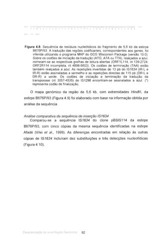 - '1 .-;r, T"(':('-GAArj:; ; t t"'i·r,;:.. f .:".!l.J"uG'·': ":';:'-..Cl. T":A:·;r.:'l..:'ro·a,.:'·:'l.r:.. ·...- 7 .-....·-~1 .:'.:..... -1 ;r - ; 7"l": ..l.' ·...>;-,_""-r..:::...:·.,·q--:-.;.-, I("j;.......·~·.. ,_:.........·: ; ' :. ' ·...·.1,..1. ·.... r ...._:vr, ' .),
~ .:., r J J.' - • :- ~ :. - :. 7 :, !: _ :: ~ .' . ."!. r; ,-~
Figura 4.8- Sequência de resíduos nucleótidicos do fragmento de 5,6 kb da estirpe
B676P/93. A tradução das regiões codificantes, correspondentes aos genes, foi
inferida utilizando o programa MAP do GCG Wisconsin Package (versão 10.0).
Sobre os codões de iniciação da tradução (ATG, ATA ou TTA), realçados a azul,
nomeiam-se as respectivas grelhas de leitura abertas (ORF1 L114, nt 139-2724,
ORF2R114 incompleta, nt 4898-5603). Os codões de terminação (TAA) estão
também realçados a azul. As repetições invertidas de 13 pb do IS1634 (IR-L e
IR-R) estão assinaladas a vermelho e as repetições directas de 115 pb (DR-L e
DR-R) a verde . Os codões de iniciação e terminação da tradução da
transposase (nt 3057-4535) do IS1296 encontram-se assinalados a azul. (*)
representa codão de finalização.
o mapa genómico da região de 5,6 kb, com extremidades Hindlll , da
estirpe B676P/93 (Figura 4.9) foi elaborado com base na informação obtida por
análise da sequência.
Análise comparativa da sequência de inserção 151634
Comparou-se a sequência IS1634 do clone pBSIS 114 da estirpe
B676P/93, com cinco cópias da mesma sequência identificadas na estirpe
Afadé (Vilei et aI., 1999). As diferenças encontradas em relação às outras
cópias de IS1634 incluíram dez substituições e três delecções nucleotídicas
(Figura 4.10).
 