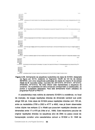 1201 131)0
AFl01410
AF101411
AF101412
AF062493
.~D01413
I5114
Co nse n s u5 GATAGAGF.CATTTTAATTC.n....lAATTTC.n.CTjl.}G.li.AJl..ATGil.ATA.!i,AGATAATCTTG TTTC TTGTGATGATTT.u.GCGGG.<l.TCTAA..n....n..AATAT.n.GATTC TTT.tI.
1301 140(1
AD01410
AF101411
AF101412
AF062493
AD01413
I5114
'-:0tvsen s u s MeCTATAAACAAAGGTGCATTTT ATG.!ACTTGAeAT.n.Gf>.An....DJ1...n.TAC.A.P.Gil.AGil_TeA.LLlAATATG.t.TGGATACT.n.TGTTT.n.TGjlAACAAAT.n.GA...n.CAGA
1401 150 I)
AFl01410
.~D01411
AF101412
AF062493
AD01413
t5114
Consensus
a ggtac
a ggtac
TTTATCAGTAAk~GAAGTTATTAATTTATATTCAAAACAATGAC~.TTGAGTCTAATTTCAAGACATTAAAAGGTAAATTATCGGGATCTTCGTCCAAT
1501 ltJOO
AFl01410
AF101411
AFI01412
AF062493
AFl01413
I9114
Consensus GTATTTATCAACTTGAAACCATATTGTTGGTTACATTTGTTTATGTTTCATTTCATTAGTGTTTTTAAACTACATCATCTACATTCTAAATTCAAAATTA
1601 1700
AFl01410
AFl01411
AFl01412
AF062493
AFl01413
I9114
Consensus GGACTGACTGGAAAAAGCAAAATCACTGAGCATAFJGTGATTAATGTTATCAAAGAAGTTAAAGAAATTGAAGTATTTGTAAATAAACAAAAAATCGAPJ
1701 1BOO
AF101410
AFI01411
AFl01412
.~F062493
AFl01413
I9114
Consensus CTATACAAGTGTATAATGATGAGTTACAAGAAAGTTGGCAAACTTATCAAATATTATTAGAGCTTTTAACAAAAGAAAAA.GTCACTTAGACATTACATTT
1801 lB7B
AFl0141D
AFl01411
AFl01412
AF062493
AFlD1413
I9114
Consensus ATAAAAAACATAACTTATGAGATr:.AAAAA.TTTACATAAGTATGTTTTCTTGTTTTATGCTTAAACTGGGA.liACGTAGG
Figura 4.10- Alinhamento da sequência nucleotídica da cópia de IS1634, designada
na figura por IS114, existente no fragmento Hindlll de 5,6 kb da estirpe
8676P/93, com cinco sequências publicadas de cópias do mesmo IS da estirpe
Afadé de M. mycoides subsp. mycoides se (AF1 0141 O, AF1 01411, AF101412,
AF062493, AF101413). Na linha inferior está representada a sequência de
consenso. Os nucleótidos em letra minúscula correspondem a substituições. os
pontos a nucleótidos delectados. Para este alinhamento foram utilizados os
programas PILEUP e PRETTY.
A característica mais notória do elemento 151634 é a existência, no local
de inserção, de longas repetições directas de dimensão variável que pode
atingir 500 pb. Esta cópia de 151634 possui repetições directas com 150 pb,
entre os necleótidos 2789 a 2903 e 4777 a 4892, mas já foram observadas
outras cópias nas estirpes L2 e Afadé que possuíam repetições directas com
dimensões entre 17 e 478 pb (Vilei et aI., 1999). Este mecanismo peculiar de
originar repetições directas na sequência alvo de DNA no passo inicial de
transposição constitui uma característica comum a 151634 e 15 1549 de
Caracterização de uma Região Genórnica 95
 