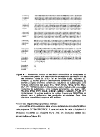 transpos2
transpos3
transposl
transp
transpos2
transpos3
transposl
transp
transpos2
transpos3
transposl
transp
transpos2
transpos3
transposl
transp
transpos2
transpos3
transposl
transp
transpos2
transpos3
transposl
transp
transpos2
transpos3
transposl
transp
LWFDATTTYFETFSREGYKKPGYSKDGKFKEDQIVIGMATDENGIPLHYKIFPGNVADPN
LWFDATTTYFETFSREGYKKPGYSKDGKFKEDQIVIGMATDENGIPLHYKIFPGNVADPN
LWFDATTTYFETFSREGYKKPGYSKDGKFKEDQIVIGMATDENGIPLHYKIFPGNVADPN
LWFDATTTYFETFSREGYKKPGYSKDGKFKEDQIVIGMATDENGISLHYKIFPGNVADSN
~*~++++*******+****+**********************+*+.+***********.*
TLIPFMLEIADIYEVNSVTI IADKGMSVNRNIRFLESKNWKYI ISYRMKAGSKQFKEYIL
TLIPFMLEIADIYEVNSVTIIADKGMSVNRNIRFLESKNWKYIISYRMKAGSKQFKEYIL
TLIPFMLEIADIYEVNSVTIIADKGMSVNRNIRFLESKNWKYIISYRMKAGSKQFKEYIL
TLIPFMLEIADIYEVNSVTIIADKGMSVNRNIRFLESKNWKYIISYRMKAGSKQFKEYIL
++******+****+**++*++***++******+*******++*+++**********++**
DEKDYINDGGLIYKTRDIASSYNKKRINGHFRRQIISFSQKRATKDKNDRDILIQNFTKK
DEKDYINDGGLIYKTRDIASSYNKKRINGHFRRQIISFSQKRATKDKNDRDILIQNFTKK
DEKDYINDGGLIYKTRDIASSYNKKRINGHFRRQIISFSQKRATKDKNDRDILIQNFTKK
DEKDYINDGGLIYKTRDIASSYNKKRINGHFRRQIISFSQKRATKDKNDRDILIQNFTKK
********************************+***********************.***
MNKDNLVSCDDLAGSKKYRFFKPINKGAFYELDIEKIQEDQKYDGYYVYETNRTDLSVKE
MNKDNLVSCDDLAGSKKYRFFKPINKGAFYELDIEKIQEDQKYDGYYIYETNRTDLSVKE
MNKDNLVSCDDLAGSKKYRFFKPINKGAFYELDIEKIQEDQKYDGYYVYETNRTDLSVKE
MNKDNLVSCDDLAGSKKYRFFKPINKGAFYELDIEKIQEDQKYDGYYVYETNRTDLSVKE
***********************************************~************
VINLYSKQWQIESNFKTLKGKLSLRPMYLSTWNHIVGYICLCFISLVFLN-YIIYILNSK
VINLYSKQWQIESNFKTLKGKLSLRPMYLSTWNHIVGYICLCFISLVFLN-YIIYILNSK
VINLYSKQWQIESNFKTLKGKLS-GTVPNVFINLKPYCWLHLFMFHFISVFKLHHLHSK
VINLYSKQWQIESNFKTLKGKLS--GTVPNVFINLKPYCWLHLFMFHFISVFKLHHLHSK
***+*************.***** ... .. * *:: : *:. : :: *: **
LGLTGKSKITEHKVINVIKEVKEIEVFVNKQKIETIQVYNDELQESWQTYQILLELLTKE
LGLTGKSKITEHKVINVIKEVKEIEVFVNKQKIETIQVYNDELQESWQTYQILLELLTKE
FKIRTDWKKQNHWA----------------------------------------------
FKIRTDWKKQNHWA----------------------------------------------
.. * : *
KVT
KVT
Figura 4.11- Alinhamento múltiplo da sequência aminoacídica da transposase do
IS1634 clonado (transp) e de três sequências aminoacídicas de transposases de
três diferentes cópias de IS1634 de M. mycoides subsp. mycoides SC.
Símbolos: (*) assinala posições absolutamente conservadas (identidades); (:)
assinala posições fortemente conservadas resultantes de substituições entre
resíduos pertencentes aos grupos STA, NEOK, NHOK, NDEO, OHRK, MILV,
MILF, HY, FYW (similaridades); (.) assinala posições relativamente conservadas
resultantes de substituições entre resíduos pertencentes aos grupos CSA,
ATV,SAG, STNK, STPA, SGND, SNDEOK, NDEOHK, NEOHRK, FVLlM, HFY
(similaridades); (-) assinala ausência de resíduo. O programa CLUSTALW foi
utilizado para o alinhamento das sequências apresentadas. Cada linha
totalmente preenchida corresponde a 60 resíduos.
Análise das sequências polipeptídicas inferidas
A sequência aminoacídica de cada um dos polipéptidos inferidos foi obtida
pelo programa EXTRACTPEPTIDE. A caracterização de cada polipéptido foi
efectuada recorrendo ao programa PEPSTATS. Os resultados obtidos são
apresentados na Tabela 4.3.
Caracterização de lima Região Genórnica 97
 