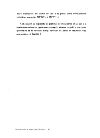 estão organizados em tandem de sete a 13 genes, como eventualmente
poderá ser o caso das ORF1L114 e ORF2R114.
A abordagem da expressão de proteínas de micoplasma em E. coli e a
produção de anticorpos hiperimunes em coelho foi posta em prática, com outra
lipoproteína de M. mycoides subsp. mycoides SC, tendo os resultados sido
apresentados no Capitulo 3.
Caracterização de Lima Região Genornica 107
 