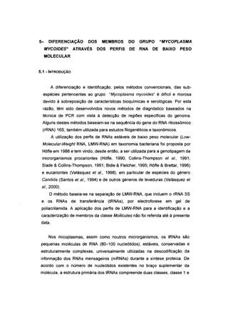 5- DIFERENCIAÇÃO DOS MEMBROS DO GRUPO "MYCOPLASMA
MYCOIDES" ATRAVÉS DOS PERFIS DE RNA DE BAIXO PESO
MOLECULAR
5.1 - INTRODUÇÃO
A diferenciação e identificação, pelos métodos convencionais, das sub-
espécies pertencentes ao grupo "Mycoplasma mycoides" é difícil e morosa
devido à sobreposição de características bioquímicas e serológicas. Por esta
razão, têm sido desenvolvidos novos métodos de diagnóstico baseados na
técnica de PCR com vista à detecção de regiões especificas do genoma.
Alguns destes métodos baseiam-se na sequência do gene do RNA ribossómico
(rRNA) 16S, também utilizada para estudos filogenéticos e taxonómicos.
A utilização dos perfis de RNAs estáveis de baixo peso molecular (Low-
Molecular-Weight RNA, LMW-RNA) em taxonomia bacteriana foi proposta por
HOfIe em 1988 e tem vindo, desde então, a ser utilizada para a genotipagem de
microrganismos procariontes (Hõfle, 1990; Collins-Thompson et ai., 1991;
Slade & Collins-Thompson, 1991; Bidle & Fletcher, 1995; Hõfle & Brettar, 1996)
e eucariontes (Velásquez et ai., 1998), em particular de espécies do género
Candida (Santos et el., 1994) e de outros géneros de leveduras (Velásquez et
ai., 2000).
O método baseia-se na separação de LMW-RNA, que incluem o rRNA 5S
e os RNAs de transferência (tRNAs), por electroforese em gel de
poliacrilamida. A aplicação dos perfis de LMW-RNA para a identificação e a
caracterização de membros da classe Mollicutes não foi referida até à presente
data.
Nos micoplasmas, assim como noutros microrganismos, os tRNAs são
pequenas moléculas de RNA (80-100 nucleótidos), estáveis, conservadas e
estruturalmente complexas, universalmente utilizadas na descodificação da
informação dos RNAs mensageiros (mRNAs) durante a síntese proteica. De
acordo com o número de nucleótidos existentes no braço suplementar da
molécula, a estrutura primária dos tRNAs compreende duas classes, classe 1 e
 
