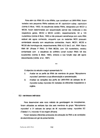 Para além do rRNA 5S e dos tRNAs, que constituem os LMW-RNA, foram
isolados seis pequenos RNAs estáveis em M. capricolum subsp. capricolum
(Ushita & Muto, 1993). As sequências destes RNAs, designados por MCS1 a
MCSe, foram determinadas por sequenciação parcial das moléculas e dos
respectivos genes. MCS2 e MCS3 contêm, respectivamente, 92 e 105
nucleótidos (Ushita & Muto, 1995) e não possuem semelhança com outro RNA
estável até agora conhecido, enquanto que os restantes MCS possuem
similaridade elevada com sequências conhecidas. Assim, MCS1, MCS5 e
MCSe são homólogos de, respectivamente, RNA 4,5 S de E. coli , RNA 10as e
RNA M1 (Rnase P RNA). ORNA MCS4, com 125 nucleótidos, revelou
similaridade com a sequência do snRNAs (sma" nuclear RNA) ue dos
eucariontes (Ushita & Muto, 1993), embora a sua função seja até agora
desconhecida (Ushita et aI., 1997).
***
O objectivo do estudo a seguir apresentado foi:
i) Avaliar se os perfis de tRNA de membros do grupo "Mycoplasma
mycoides" permitem a sua diferenciação e caracterização:
ii) Analisar as variações dos perfis de LMW-RNA de estirpes de M.
mycoides subsp mycoides SC isoladas de diferentes hospedeiros e
orgãos.
5.2 - MATERIAIS E MÉTODOS
Para desenvolver este novo método de genotipagem de micoplasmas,
foram utilizadas as estirpes tipo dos seis membros do grupo "Mycoplasma
mycoides" e 31 estirpes de campo de M. mycoides subsp. mycoides SC
(Tabela 5.1), incluindo 10 de origem africana.
Foram testados diferentes protocolos de extracção de RNA e de condições
de electroforese em gel de poliacrilamida.
Perfis de LMVJ-RNA 112
 